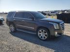 2015 Cadillac Escalade Luxury for Sale in Earlington, KY - Hail