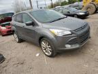 2014 Ford Escape Se de vânzare în Chalfont, PA - Minor Dent/Scratches