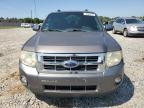 Tifton, GA에서 판매 중인 2012 Ford Escape Xlt - Hail