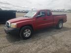 2007 Dodge Dakota St na sprzedaż w Earlington, KY - Hail