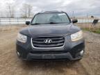 2010 Hyundai Santa Fe Limited იყიდება Columbia Station-ში, OH - Minor Dent/Scratches