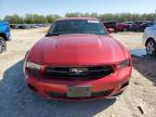 2012 Ford Mustang    for Sale in Columbia, MO - Rear End