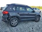 2016 Volkswagen Tiguan S for Sale in Apopka, FL - Rear End