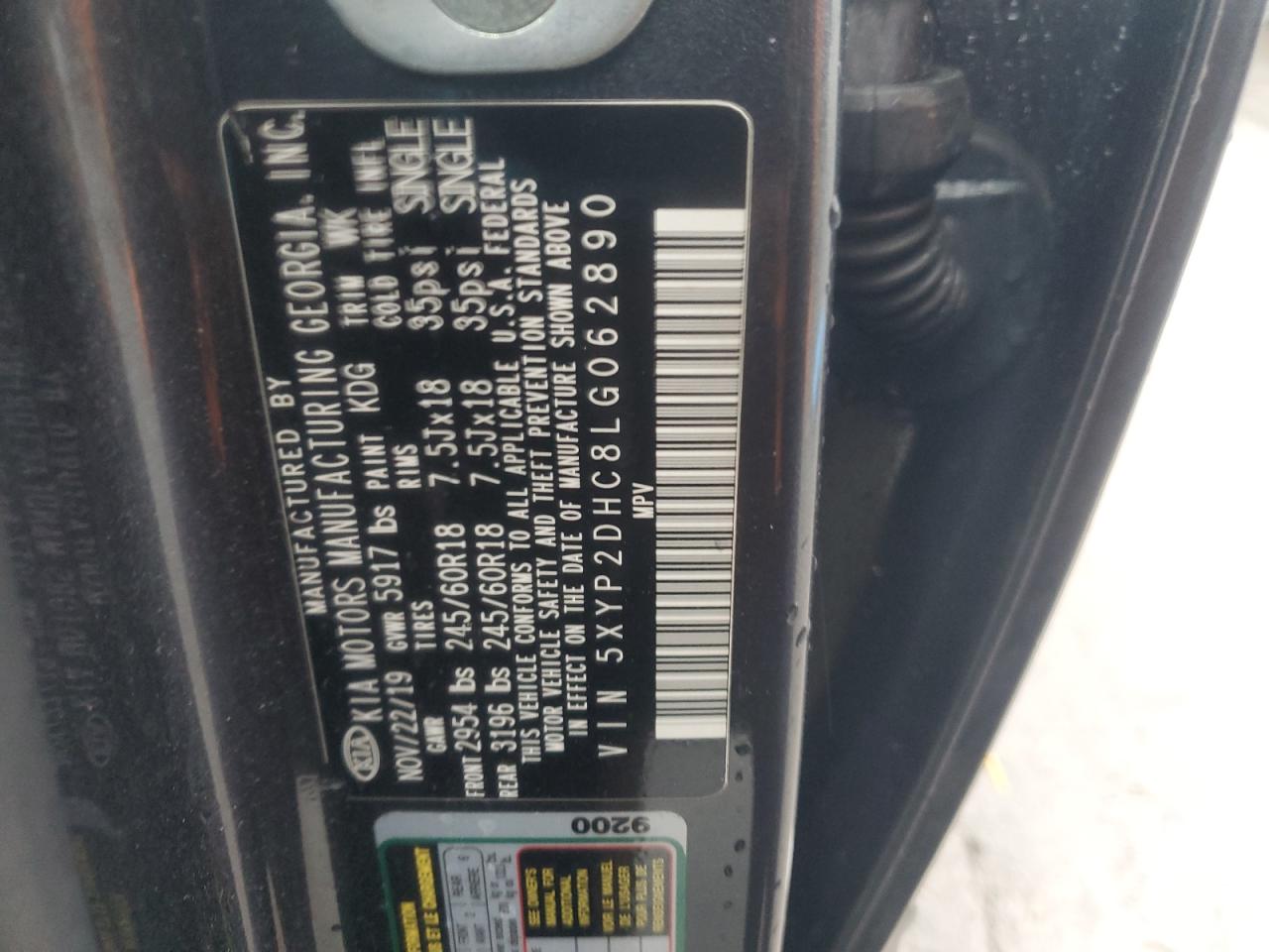 2020 Kia Telluride Lx VIN: 5XYP2DHC8LG062890 Lot: 53478235