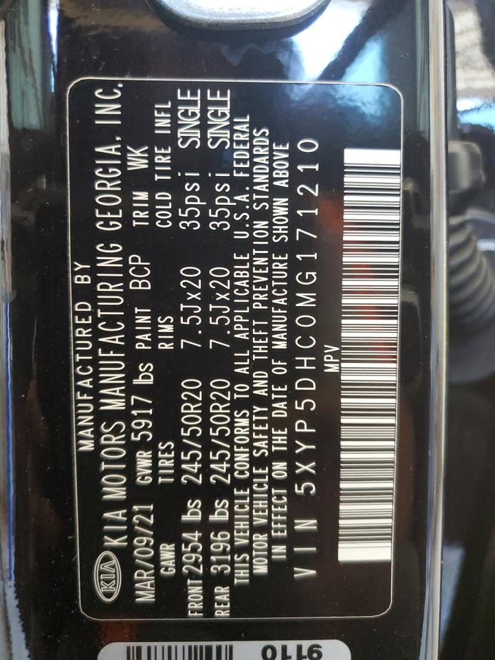 2021 Kia Telluride Sx VIN: 5XYP5DHC0MG171210 Lot: 52282265