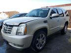 2007 Cadillac Escalade Luxury იყიდება North Las Vegas-ში, NV - Minor Dent/Scratches