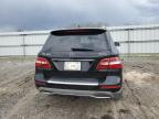 2013 Mercedes-Benz Ml 350 4Matic للبيع في Earlington، KY - Hail