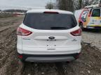 2014 Ford Escape Se for Sale in Cicero, IN - Front End