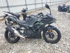 2024 Kawasaki Ex500  for Sale in Lawrenceburg, KY - Side
