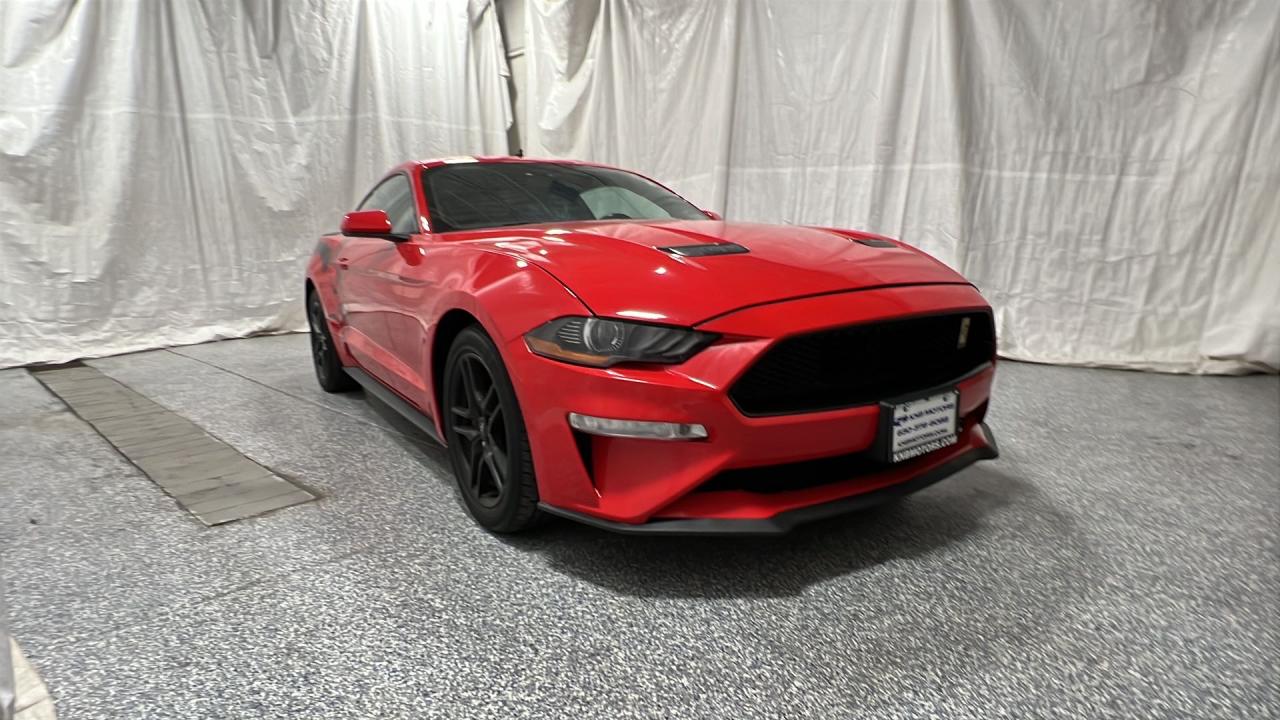 2019 Ford Mustang Gt VIN: 1FA6P8CF8K5118569 Lot: 55095225