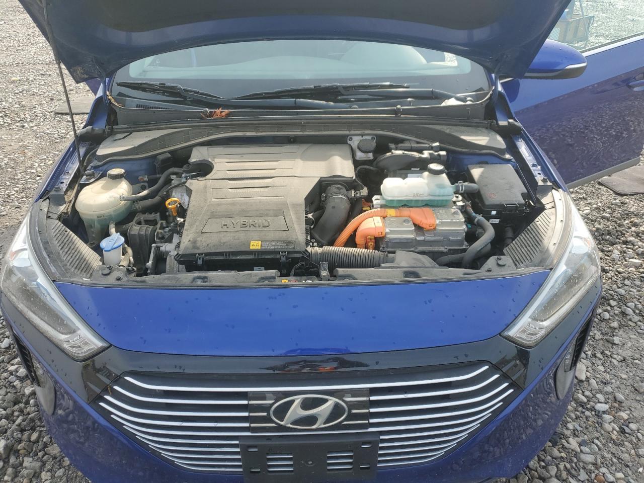 2019 Hyundai Ioniq Sel VIN: KMHC75LC6KU119044 Lot: 51642165