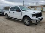 2013 Ford F150 Supercrew продається в Pekin, IL - Front End