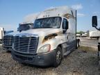 2019 Freightliner Cascadia 125 Semi Truck zu verkaufen in Florence, MS - Side