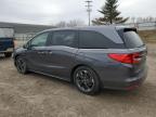 2021 Honda Odyssey Elite на продаже в Davison, MI - Front End