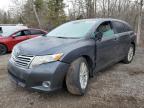2009 Toyota Venza  for Sale in Cookstown, ON - Front End