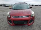 2014 Ford Escape Titanium იყიდება Earlington-ში, KY - Hail