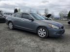 2008 HONDA ACCORD EX à vendre chez Copart OR - EUGENE