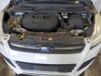 2013 Ford Escape Se for Sale in Albany, NY - Side