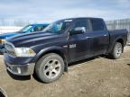 2013 RAM 1500 LARAMIE for sale at Copart AB - EDMONTON