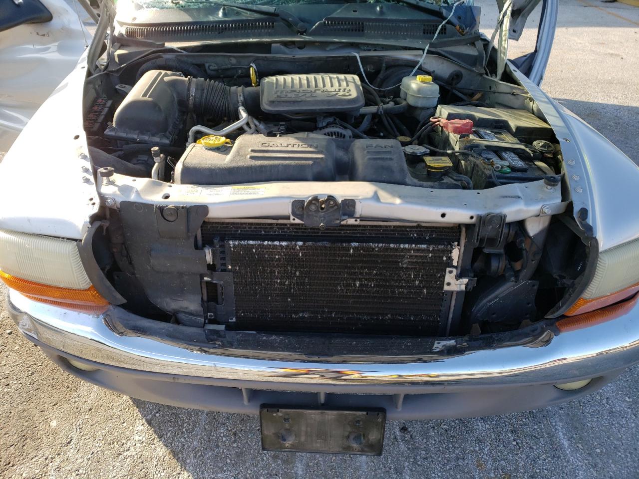 2004 Dodge Dakota Quad Slt VIN: 1D7HG48K94S719243 Lot: 52696075