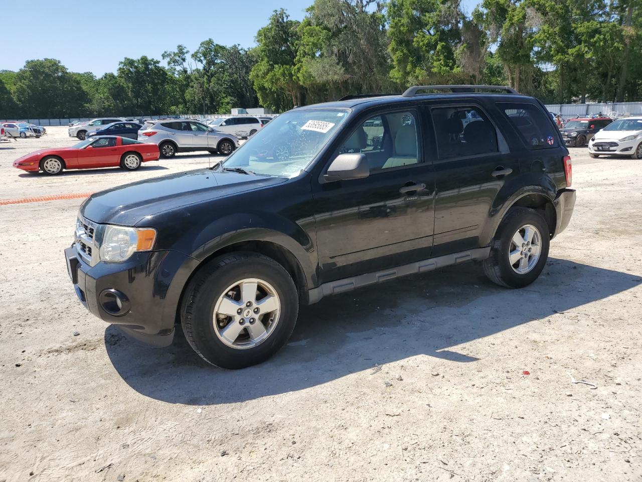 2012 Ford Escape Xlt for Sale in Ocala, FL - Rear End