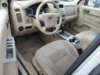 2008 Ford Escape Xlt for Sale in Harleyville, SC - Rear End