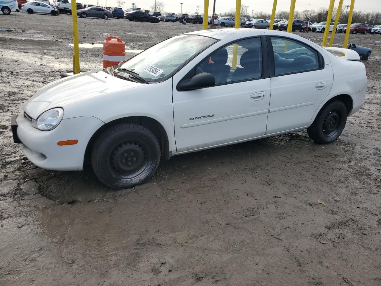 2001 Dodge Neon Se for Sale in Indianapolis, IN - Side