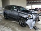 2023 Lexus Gx 460 for Sale in Homestead, FL - Front End
