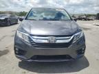 Orlando, FL에서 판매 중인 2019 Honda Odyssey Exl - Minor Dent/Scratches