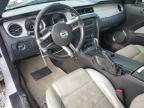 2013 Ford Mustang  for Sale in Gastonia, NC - Front End
