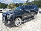 2016 Cadillac Escalade Platinum for Sale in Houston, TX - Top/Roof