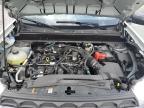 Cahokia Heights, IL에서 판매 중인 2024 Ford Maverick Xlt - Hail