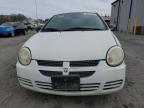 2004 Dodge Neon Base zu verkaufen in Las Vegas, NV - Front End