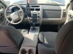 2009 Ford Escape Xlt იყიდება Seaford-ში, DE - Water/Flood