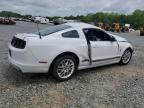2014 Ford Mustang    for Sale in Tifton, GA - All Over