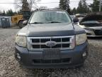 2009 Ford Escape Xlt იყიდება Graham-ში, WA - Side