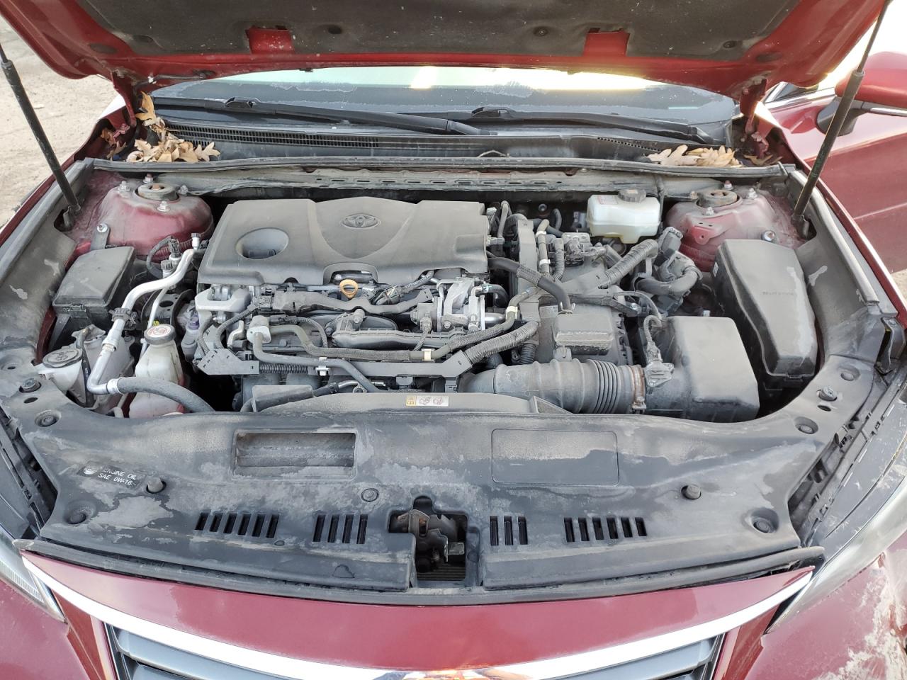 2019 Toyota Avalon Xle VIN: 4T1B21FB7KU005379 Lot: 53625035