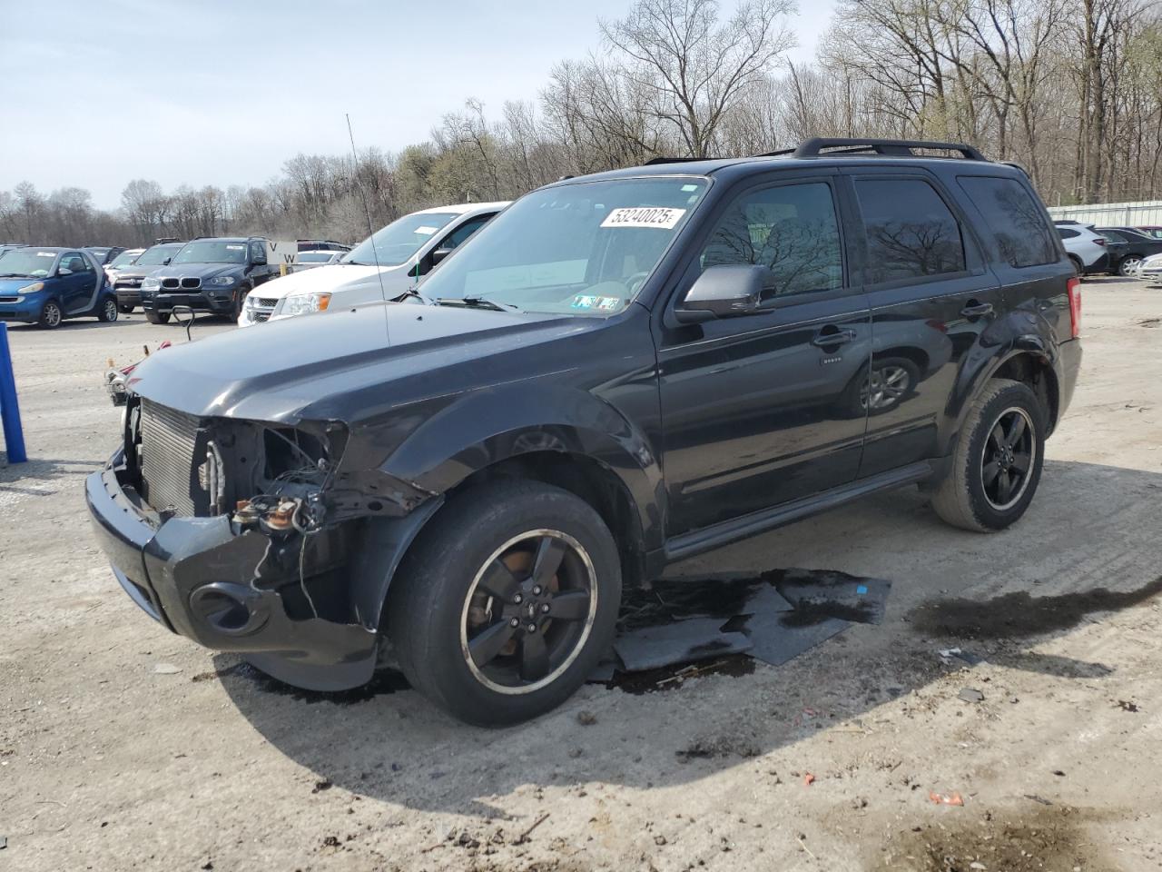 2011 Ford Escape Xlt იყიდება Ellwood City-ში, PA - Front End