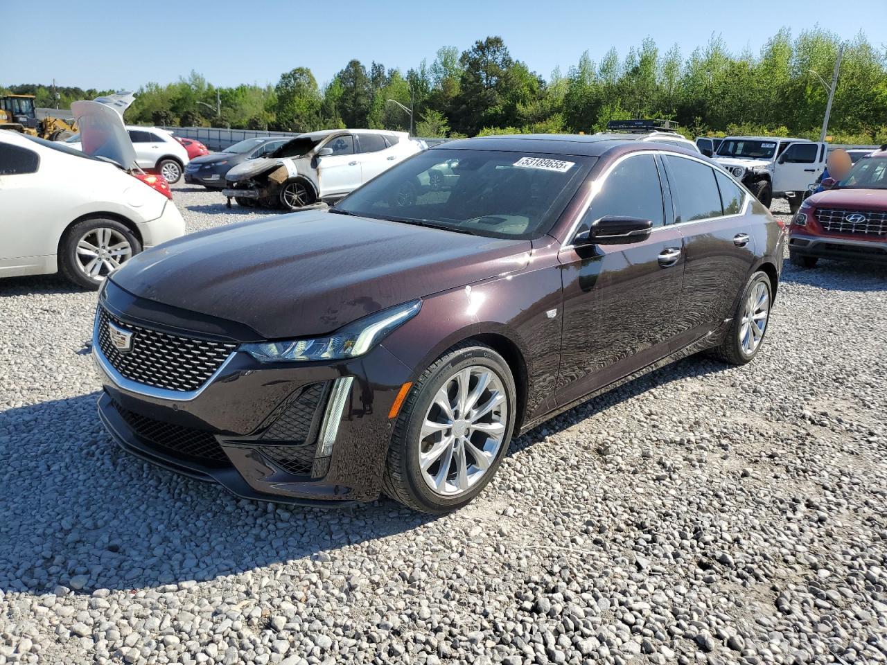 2020 Cadillac Ct5 Premium Luxury للبيع في Memphis، TN - Water/Flood