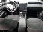 2024 Hyundai Santa Cruz Sel zu verkaufen in Indianapolis, IN - Front End