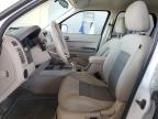 2008 Ford Escape Xlt zu verkaufen in Phoenix, AZ - Minor Dent/Scratches