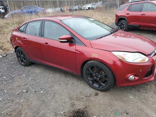  FORD FOCUS 2014 Czerwony