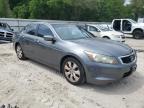 2010 Honda Accord Exl for Sale in Midway, FL - Front End