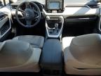 2019 Toyota Rav4 Xle Premium for Sale in Waldorf, MD - Rear End