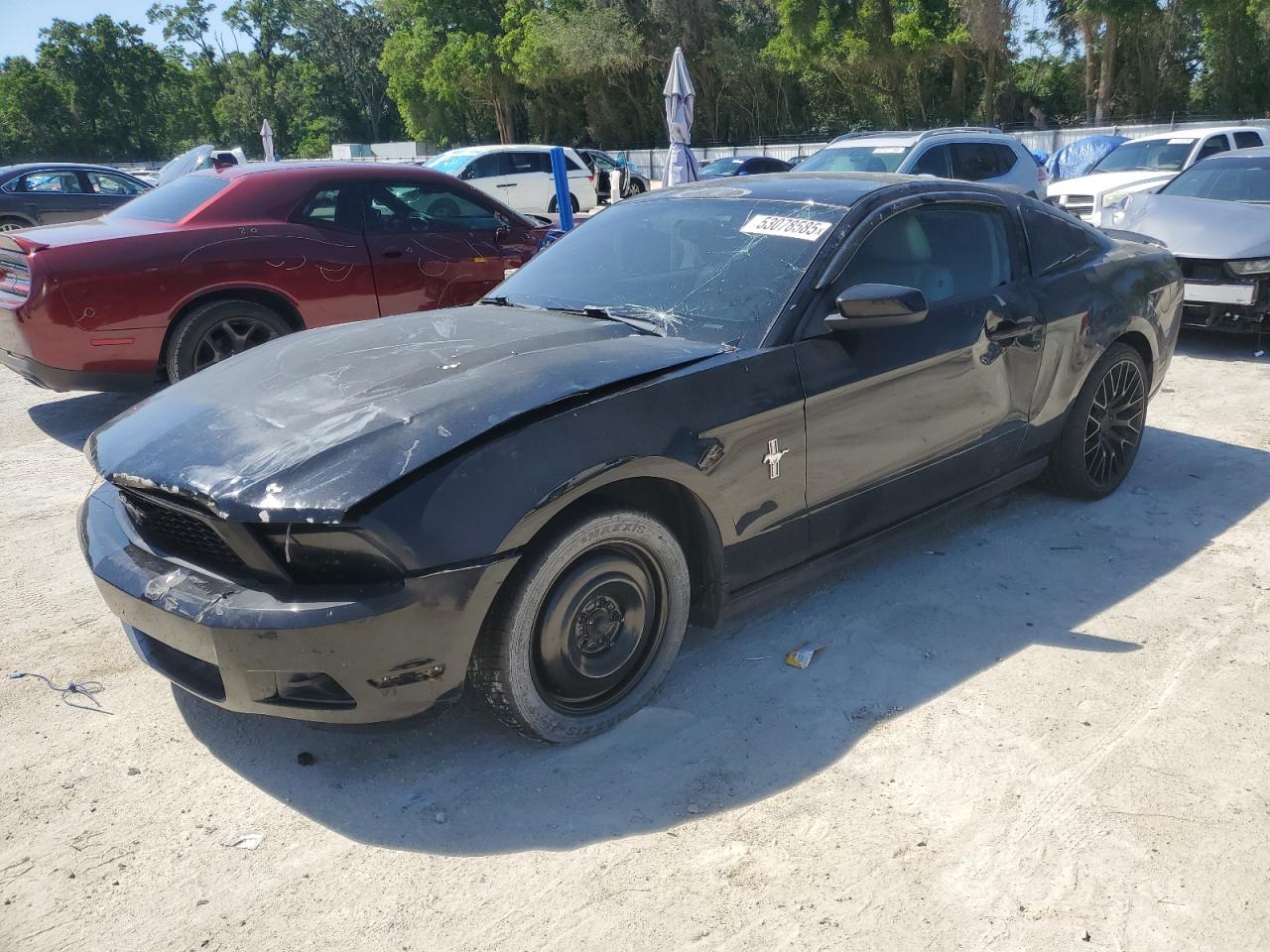 Ocala, FL에서 판매 중인 2011 Ford Mustang - All Over