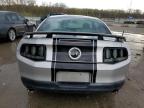 2010 Ford Mustang Gt იყიდება Louisville-ში, KY - Hail