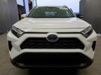 2024 Toyota Rav4 Xle en Venta en Orlando, FL - Side