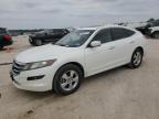 2012 Honda Crosstour Ex للبيع في Houston، TX - Hail