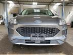 2020 Ford Escape Se de vânzare în Brighton, CO - Rear End
