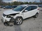 Madisonville, TN에서 판매 중인 2013 Ford Escape Se - All Over